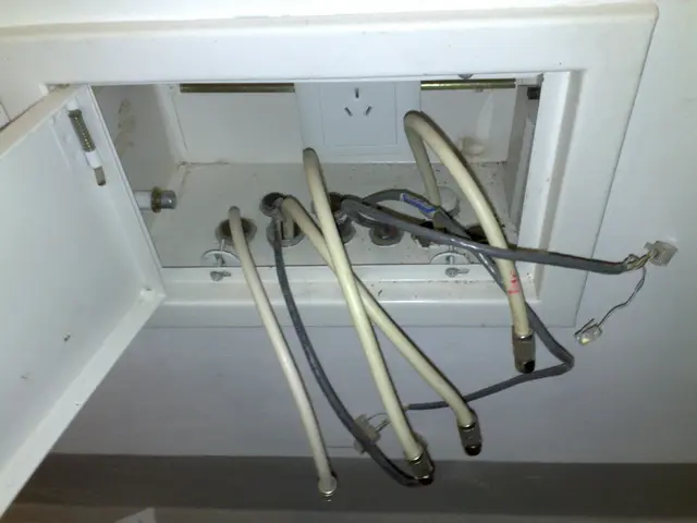 有高人吗?谁能看懂弱电箱里的线?顺便问问咱