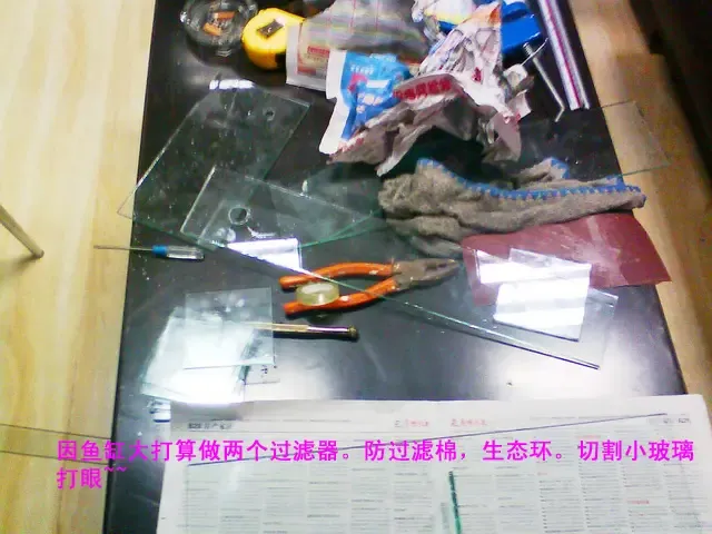 小学生自制小鱼缸 1289100676586_000.jpg
