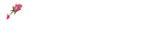 ���տ���