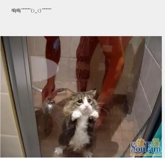 呜呜_4262木木的相册