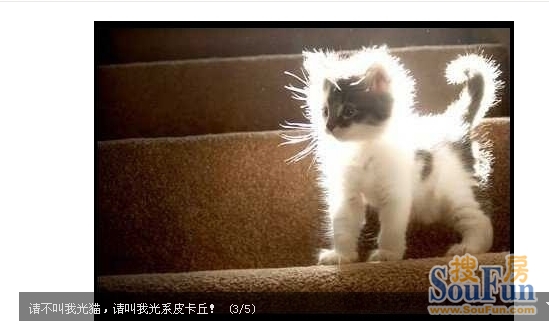 破解猫咪