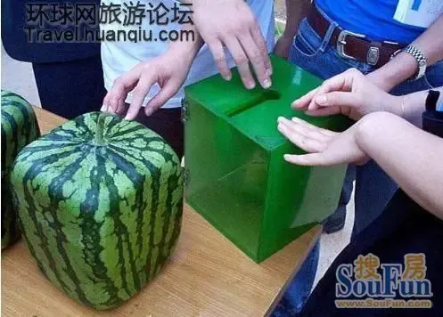 西瓜怎么切三角型 1309438924026_000.jpg