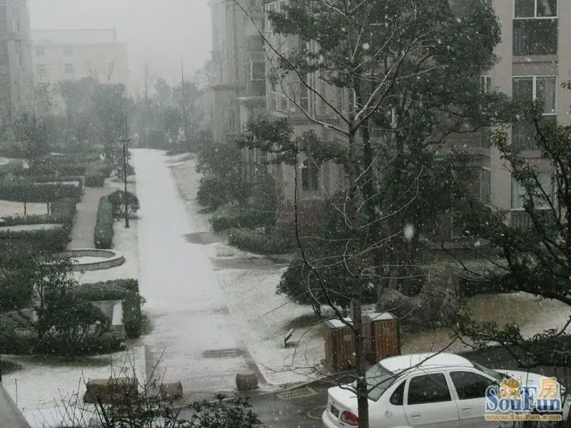 ������ѩ ���������Ǵ�ѩ ǧ�������滨��