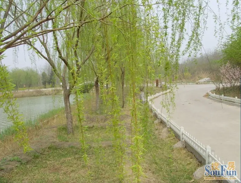 塘沽森林公园新照-滨海欣嘉园业主论坛-天津房