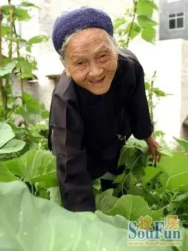 广西<em>巴马美女</em>老寿星-我也很普通-旅游业主论坛