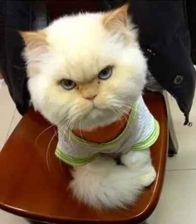 <em>哥</em>生下来这么潇洒,还吃<em>你妹</em>的虾!-西红门社区业