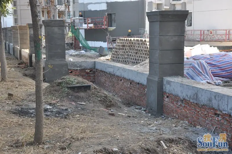 津南新城惊现坟墓合安园就是这个含义吗?-天津