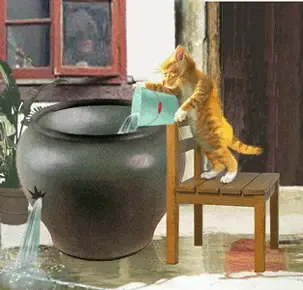 ����鿴��һ��: 1215019400376_000
