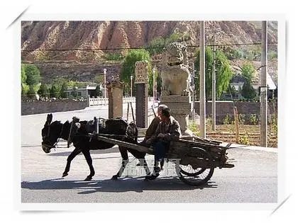 车,还需抬头看路!