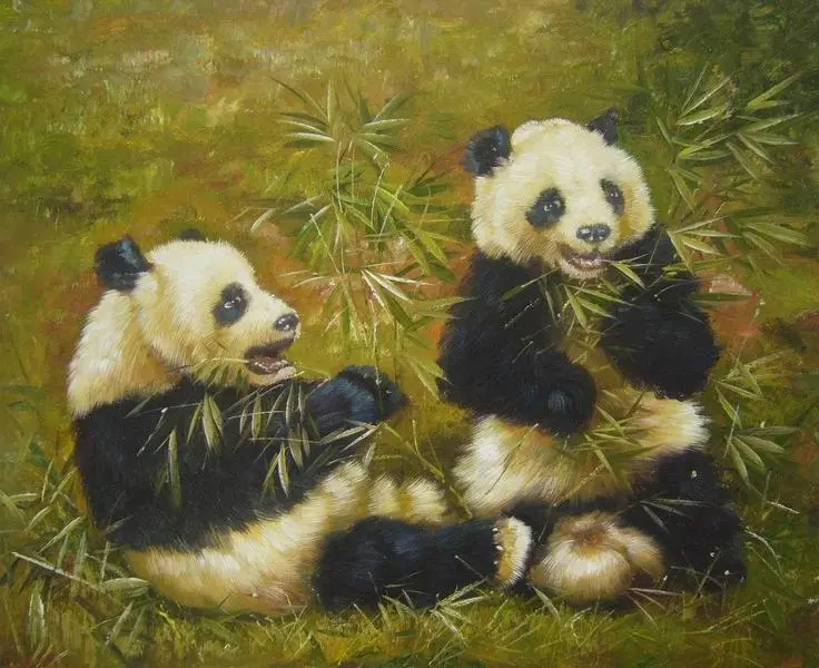 四川熊猫 -三叶草画廊 -搜房博客