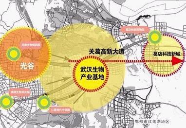 武汉庙山开发区三大科技板块图片