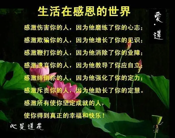 怀揣感恩的心面对人生
