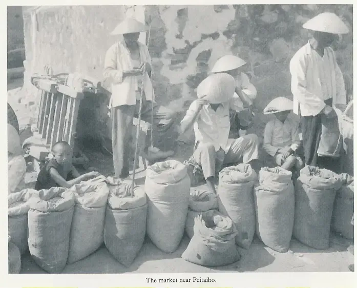 李世东:《历史上的 多收了三五斗 》 -世东红远