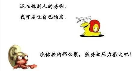 从寄居蟹到蜗牛的鲨鱼装饰梦想鳍有a蜗牛装吗图片