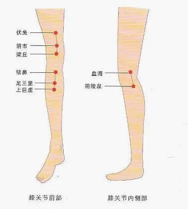 患部    配穴:痒甚:阴陵泉,三阴交               血虚:隔俞,足三里