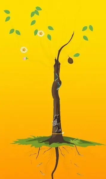 【星播客】从<em>婚姻树</em>中寻找旺夫之女 -董易奇 -