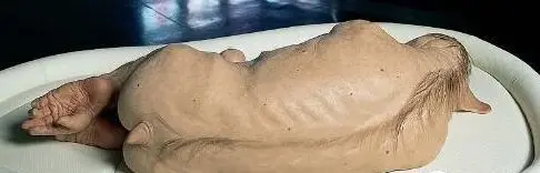 真切如斯的小"猪人"   此组照片的真实性无从考证,还请高手看后