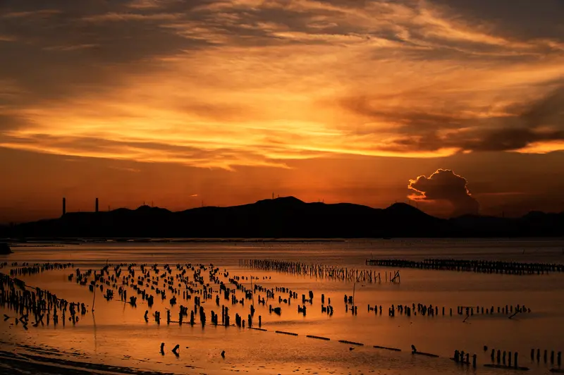 夕照渔排(珠海高栏港)