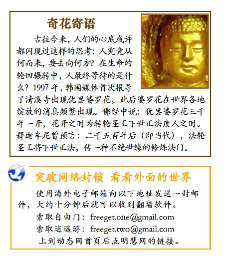 这世代人性的庐山真面目