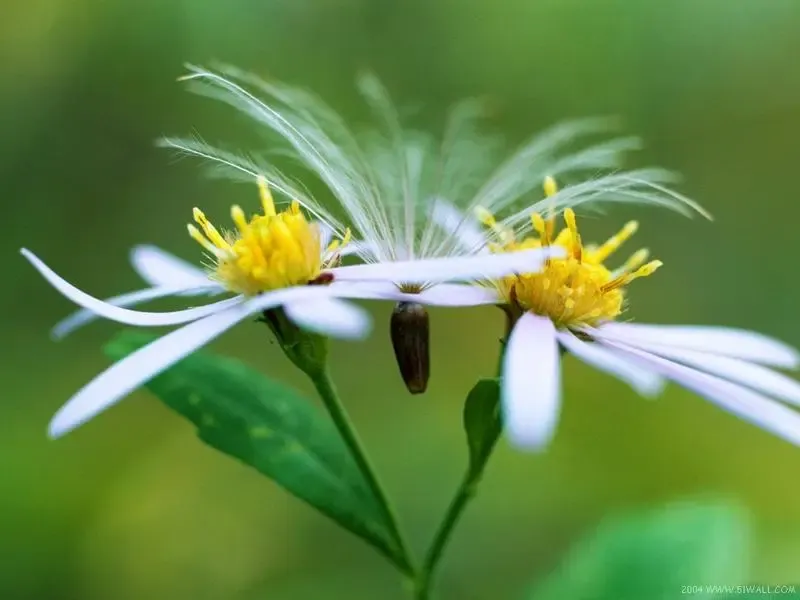 ����鿴��һ��: 1216611697993_000