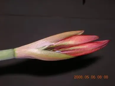 ����鿴��һ��: 1210727506052_000