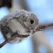 С�����