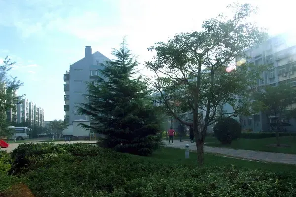 按此在新窗口浏览图片