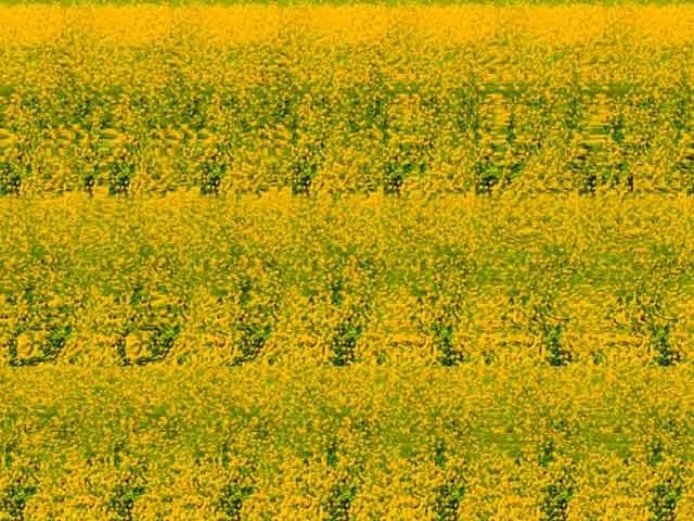 3d图,右脑厉害你就全看出来!