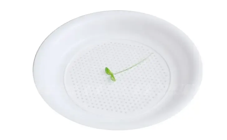 饺子盘_<em>丁香妹</em>的相册_搜房相册