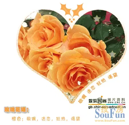 看花语,祝大家情人节快乐!