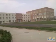ҵ�����