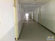 ҵ�����