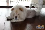 ҵ�����
