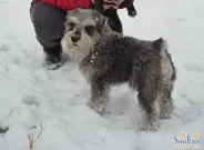 ҵ�����