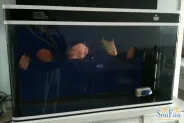 ҵ�����