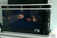 ҵ�����