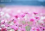 ҵ�����